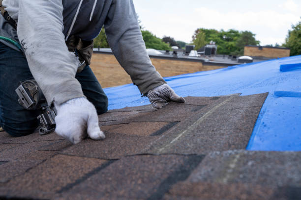 Best Tile Roofing Contractor  in Talahi Island, GA