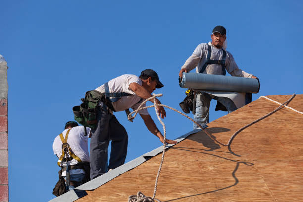 Best Storm Damage Roof Repair  in Talahi Island, GA