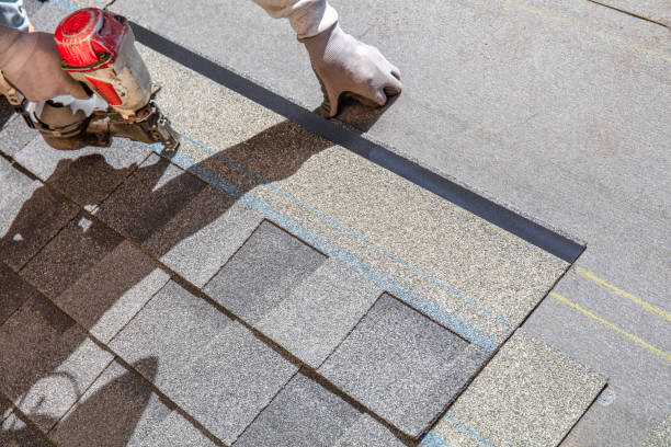 Best Shingle Roofing Installation  in Talahi Island, GA